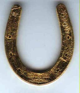 Golden Horse Shoe Picture